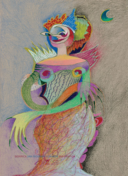 BIONÍRICA - Uma biografia sonhada