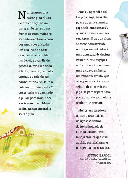 Pequenas crônicas voadoras